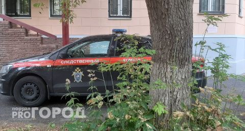 Бастрыкин потребовал доклад по делу о педофиле из Кстовского района, который приставал к 11-летней девочке