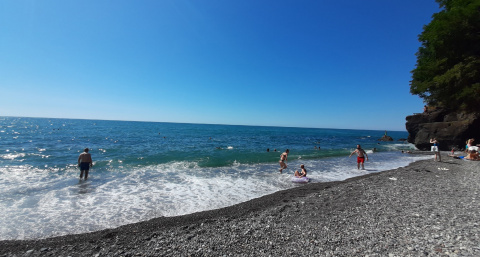Никакого купания этим летом - тысячи медуз заполонили воды Черного моря: россиянам испортили отдых