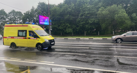 Засохшее дерево убило 62-летнего жителя Нижегородской области 