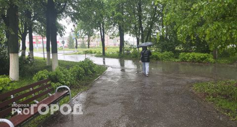 Жары не будет: нижегородцам посреди недели снова пригодятся зонтики - синоптики дали прогноз