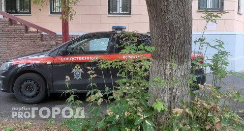Школьницу из Чувашии изнасиловали в Нижегородской области