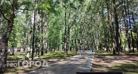 Более 4000 человек пострадали от клещей в Нижегородской области: некоторые насекомые были заражены 