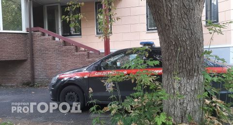 Бастрыкин поручил разобраться в инциденте на Щелковском хуторе: молодой человек получил удар ножом, защищая детей