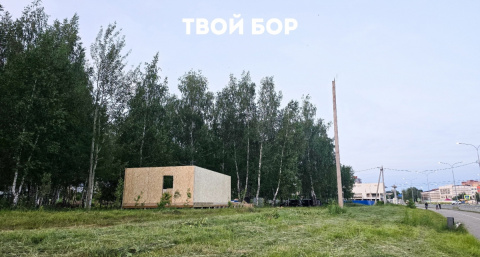 В городе Бор появится парковая зона с масштабными моделями и мастер-классами 