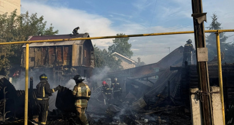 Более десятка собак погибло из-за масштабного пожара в Нижнем Новгороде