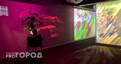 Ночь бесплатных выставок экологического искусства пройдет в Нижнем Новгороде 
