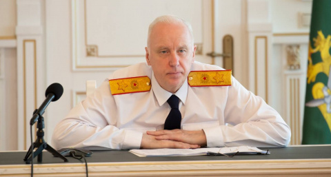 Собака бойцовской породы напала на девочку в Городецком районе: делом заинтересовался Бастрыкин