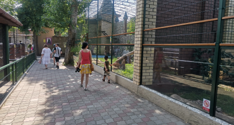 Врачи отказали в помощи маленькому нижегородцу, которого укусил суслик
