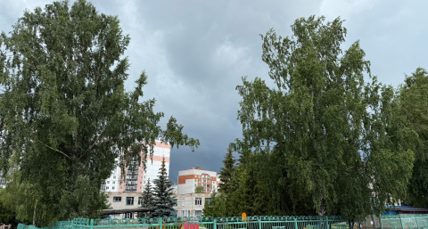 Будет лить как из ведра: синоптики рассказали о погоде на этой неделе в Центральной России