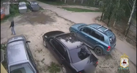 В Нижнем Новгороде поймали автомобильного вора, который вытащил из машин технику, косметику и 20 бутылок коньяка