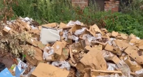 В Нижнем Новгороде неизвестные оставили десятки коробок тухлой курятины под окнами