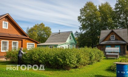 «Ты живёшь богаче меня»: IT-специалист из Бостона с зарплатой $120 000 провел неделю в тверской деревне и понял, кто из них по-настоящему беден