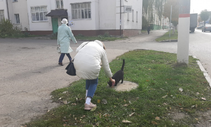 В двух районах Нижегородской области объявили карантина из-за бешенства
