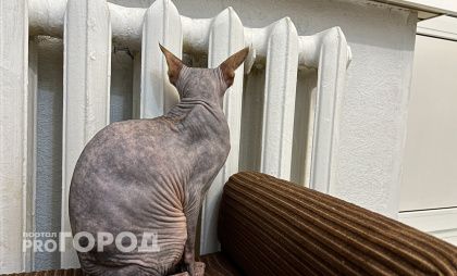 Как нижегородцам снизить расходы на отопление до 10 % и сохранить тепло дома