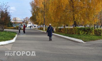 Участницу мошеннической схемы задержали в Балахне 