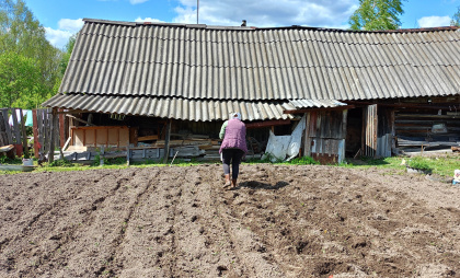 Дорогой навоз больше не нужен - соседка-огородница поделилась хитрым советом для идеальной почвы с помощью копеечного средства