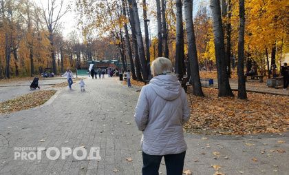 Пенсионерка из Сарова отправилась в Московскую область с деньгами, испугавшись, что их могут изъять