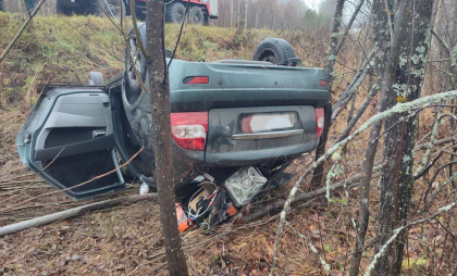 Пьяный водитель Lada погиб в кювете на трассе в Нижегородской области
