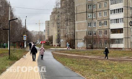 Пара из Выксы поехала в соседний регион, чтобы предотвратить мнимое мошенничество