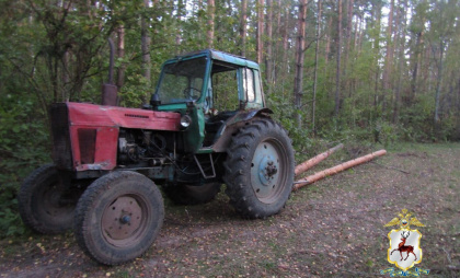 В Вадском районе задержан местный житель, который делал нелегальный "бизнес" на дровах из лесных деревьев