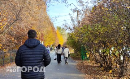 Несуществующая машина из-за рубежа оставила жителя Городецкого района почти без миллиона рублей