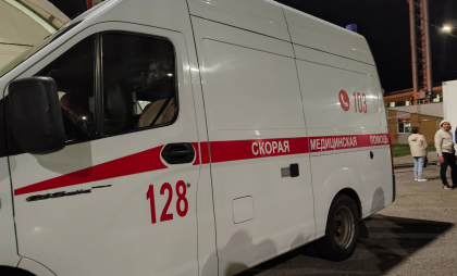 Нижегородские врачи спасли пациентку после укуса гадюки