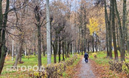 Деньги сергачского пенсионера, обманутого мошенниками, нашли в Марий Эл