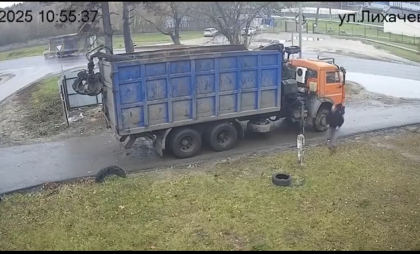 В городе Бор наказали компанию, которая бросалась ветками где попало