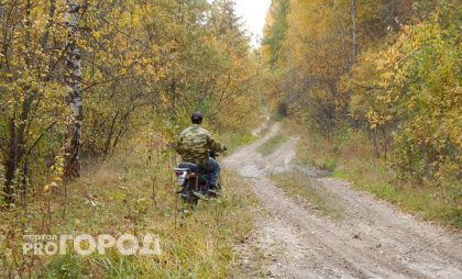 Сезон охоты на отдельные виды животных открылся в Нижегородской области