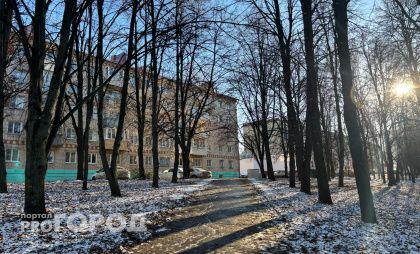 Полная отмена зимы: Вильфанд рассказал, что вместо холода придет тепло