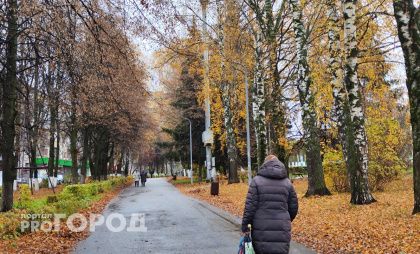В погоне за богатством нижегородка потеряла квартиру и миллионы