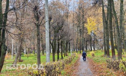 Три недели потребовалось незнакомцам, чтобы запугать пенсионера из Уреня и заставить отдать полмиллиона