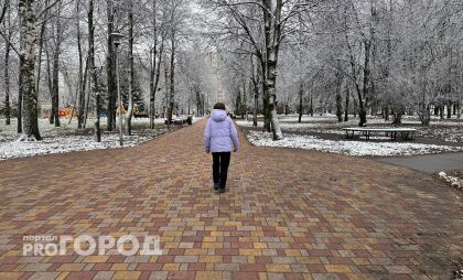 Такого не было за 146 лет наблюдений: Вильфанд объяснил, почему ноябрь стал рекордным