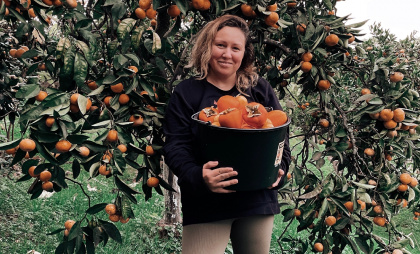 Поработала на сборе хурмы и мандаринов в Абхазии: вот сколько мне заплатили – честный отзыв