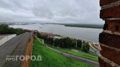 Нижегородская область сэкономила более 200 миллионов рублей на госзакупках в августе 
