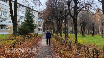 В Нижнем Новгороде пенсионер отдал аферистам золотые монеты на восемь миллионов
