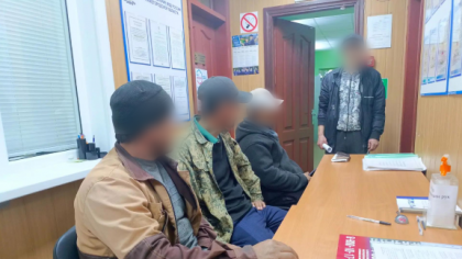 Минивэн с нелегалами задержали в Починковском районе