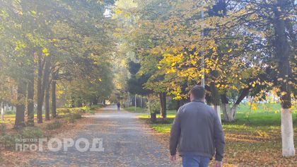 В борской деревне поймали беглеца из Узбекистана с целым гаремом жен