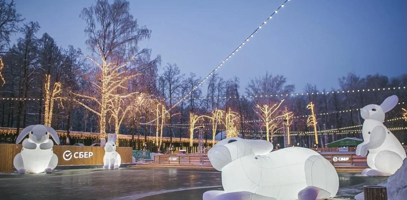 В новогоднюю ночь нижегородцы смогут покататься на катке парка «Швейцария» 