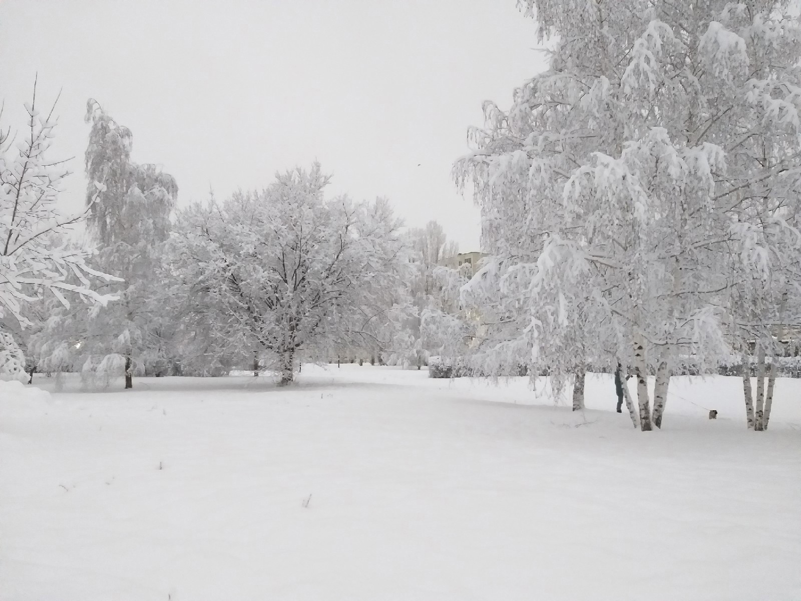Крепкий мороз и снегопад ожидаются в Нижегородской области