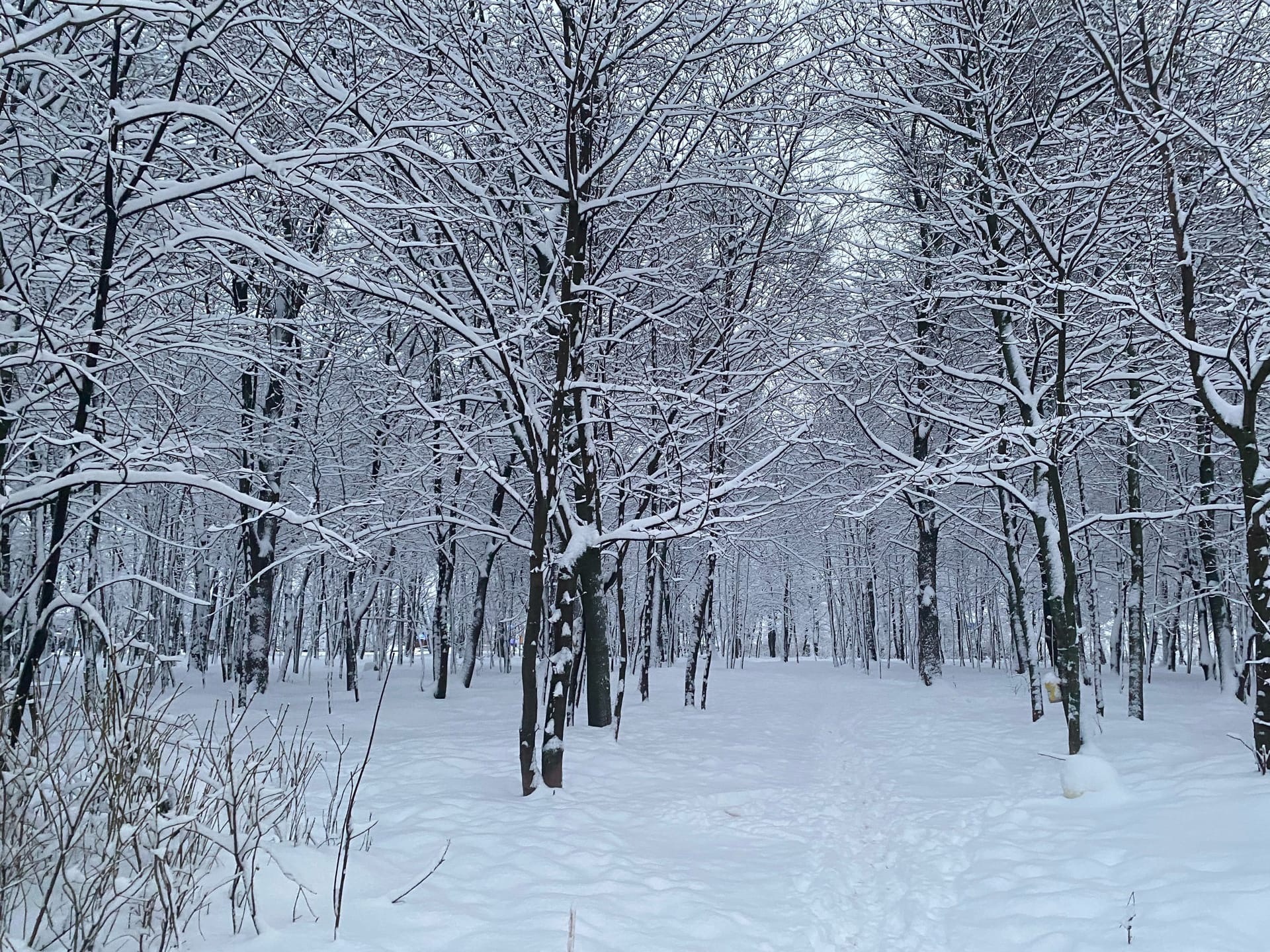 В Нижнем Новгороде будет ощущаться до - 17: морозы не отступают