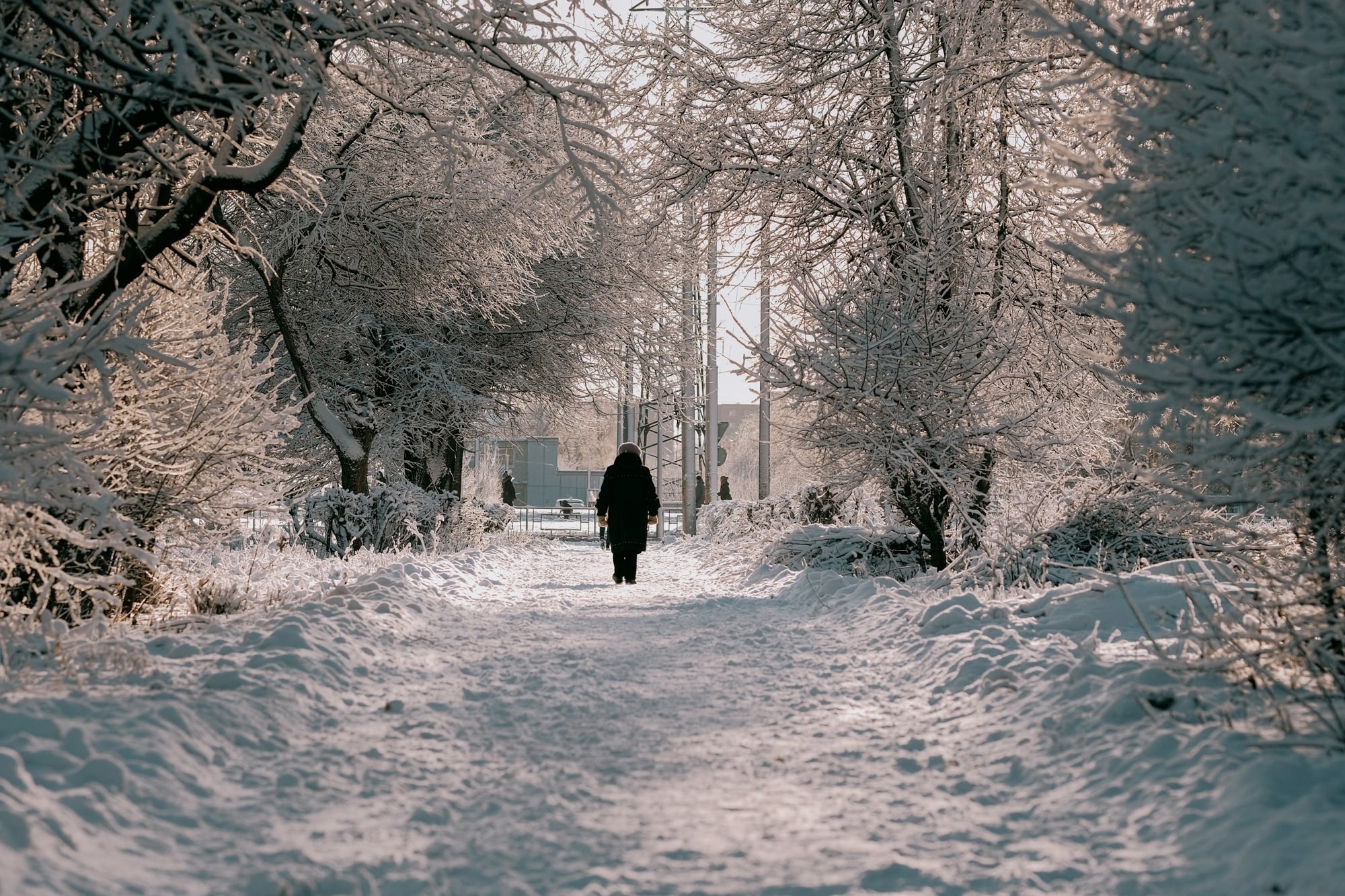 Потепление и небольшой снег ждут жителей Нижегородской области в начале февраля 