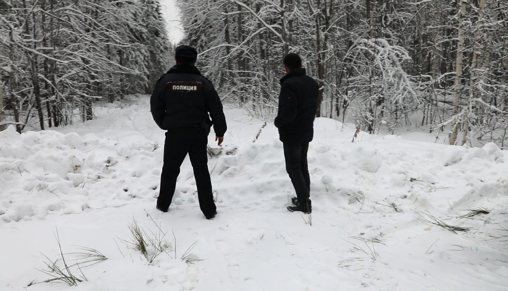 Браконьеры застрелили и закопали сотрудника охраны леса Нижегородской области