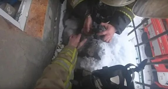 Спасатели вернули к жизни кота, потерявшего сознание на пожаре