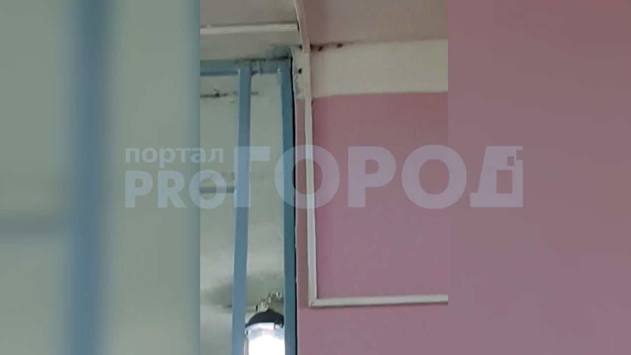 В Нижегородской области родители школьников выложили видео столовой с тараканами