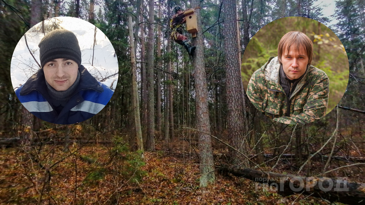 Два друга из Нижегородской области сделали 90 гнезд для краснокнижных сов в лесу