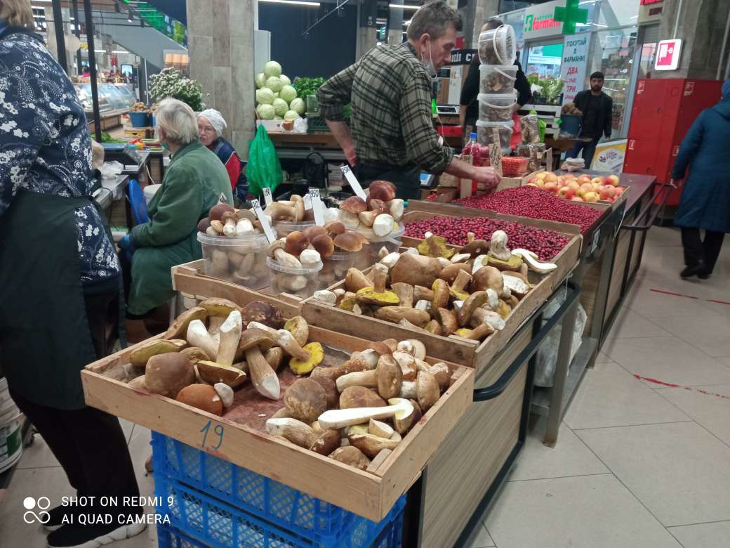 Новый бизнес москвичей в Нижнем Новгороде: они скупают грибы