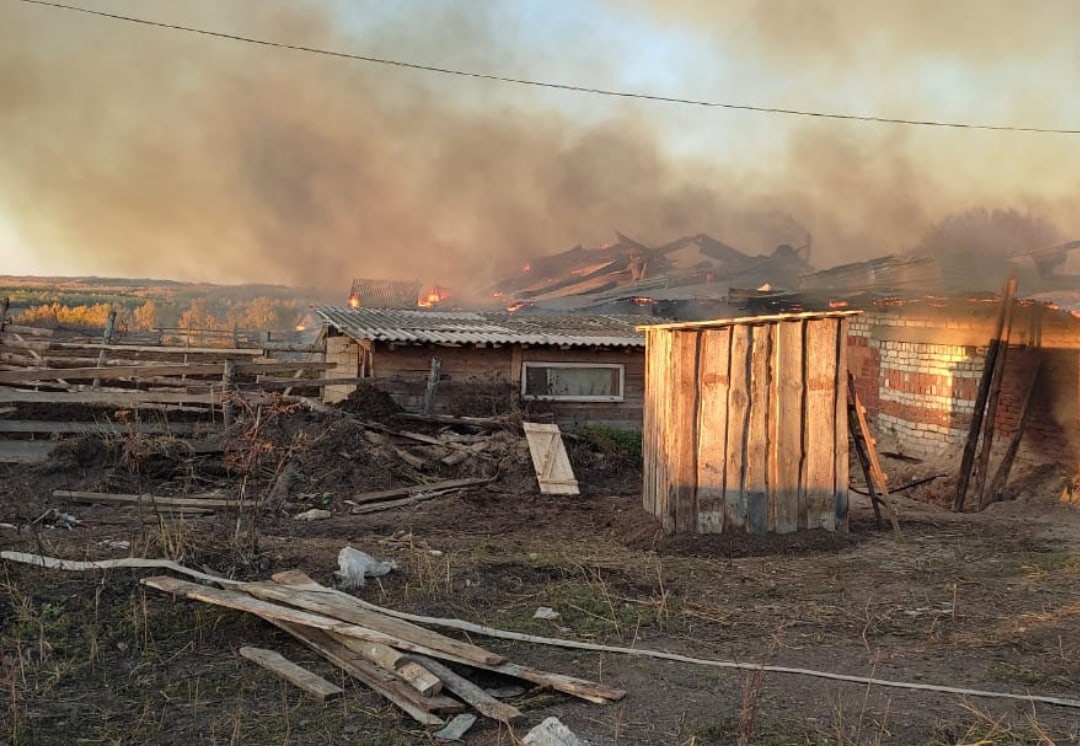 Что известно о доме в Вознесенском районе, где заживо сгорели трое детей 