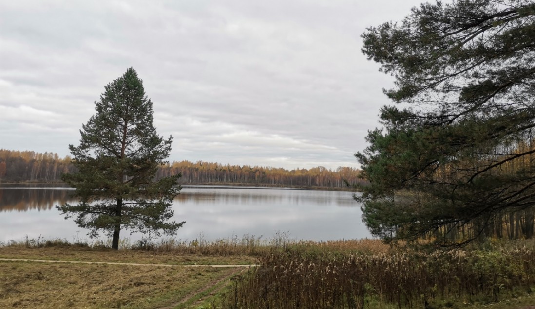 Загадочное озеро Нижегородской области может войти в десятку “мест силы” России