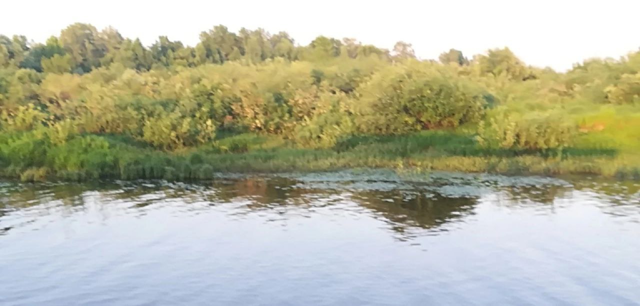 В Лукояновском районе Нижегородской области утонул неизвестный мужчина